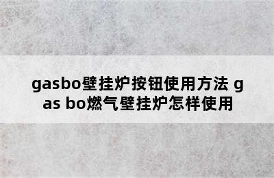 gasbo壁挂炉按钮使用方法 gas bo燃气壁挂炉怎样使用